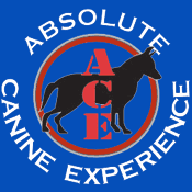 Available at Absolute Canine